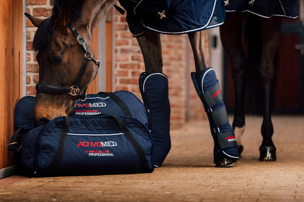 Professionele magnetische beenbeschermers - voor benen component