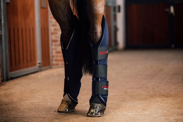 Professionele magnetische beenbeschermers - achter - component