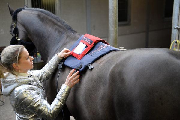 Triple Power Pad (WLP) SET - Activo Med