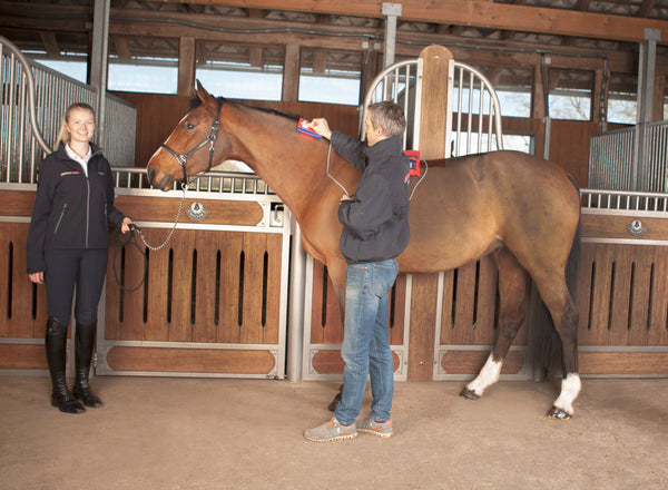 Laser - FULL SET (Pointer & Shower) - Activo Med