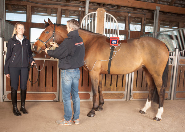Laser Pointer - SET - Activo Med