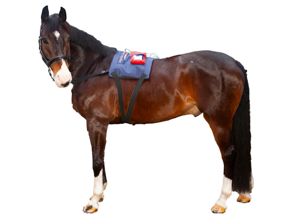 Triple Power Pad (WLP) SET - Activo Med