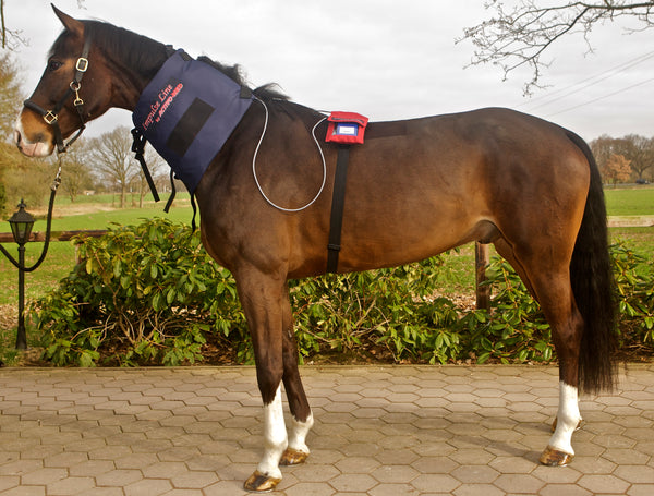 Triple Power Pad (WLP) SET - Activo Med