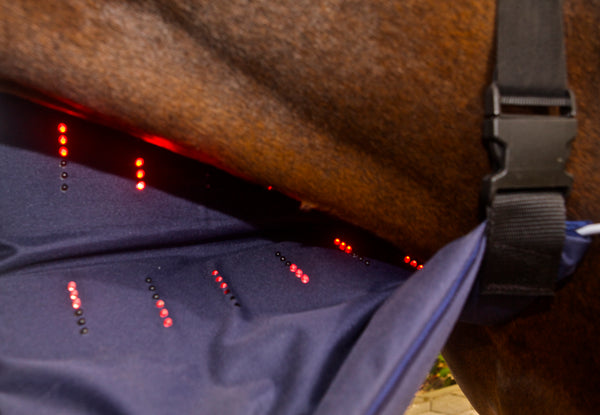 Triple Power Pad (WLP) - Component - Activo Med