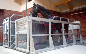 De 7 voordelen van Aqua training voor paarden & een voorbeeld uit de praktijk!