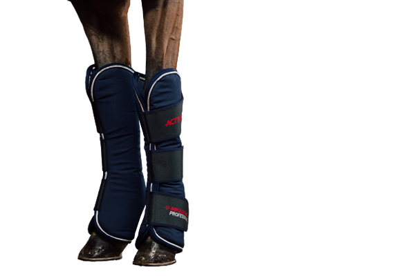 Professionele magnetische beenbeschermers - voor benen component