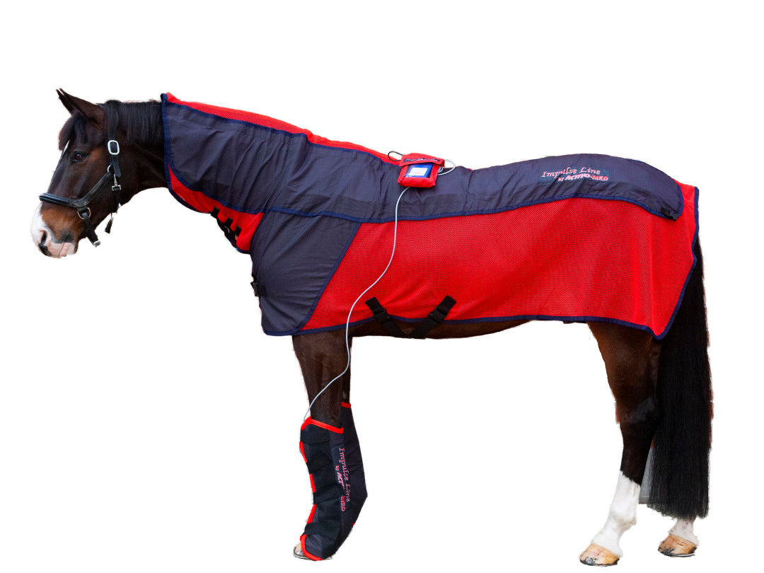 【値下げ特価‼️】【4枚セット＋1】Cabal Therapy 日英2枚ずつ＋α Activo-Med: Magnetic Blanket SET. Treat your horse with a new blanket!