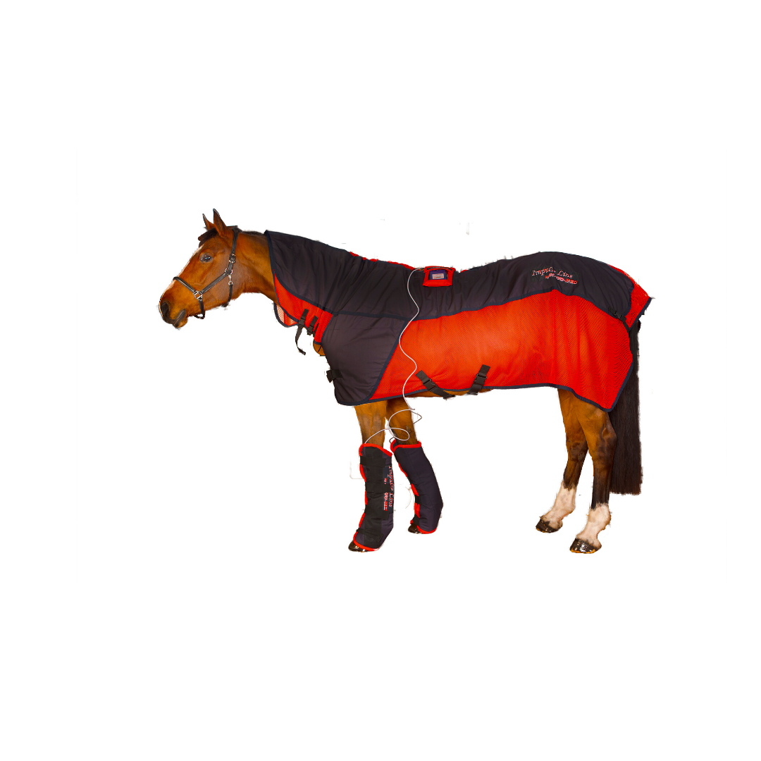 Activo-Med Magnetic Blanket SET! Buy therapy blanket for your